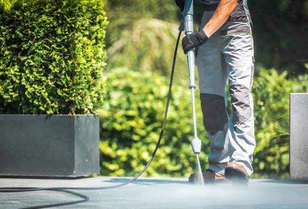 Best Sign and Awning Cleaning  in Fairlea, WV