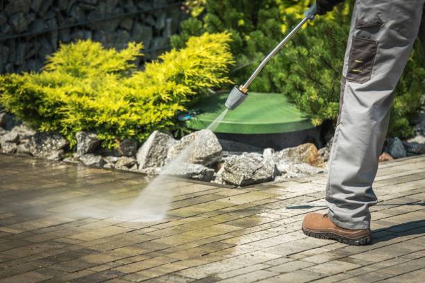 Best Pre-Holiday Cleaning  in Fairlea, WV
