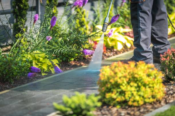 Best Sidewalk and Walkway Cleaning  in Fairlea, WV